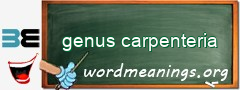WordMeaning blackboard for genus carpenteria